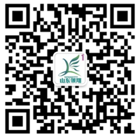 山东领翔新材料有限公司