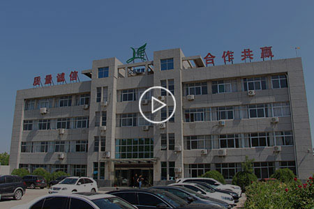 山东领翔新材料有限公司